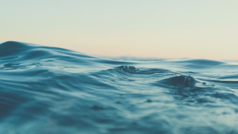 【画像】海洋深層水は水質が安定している